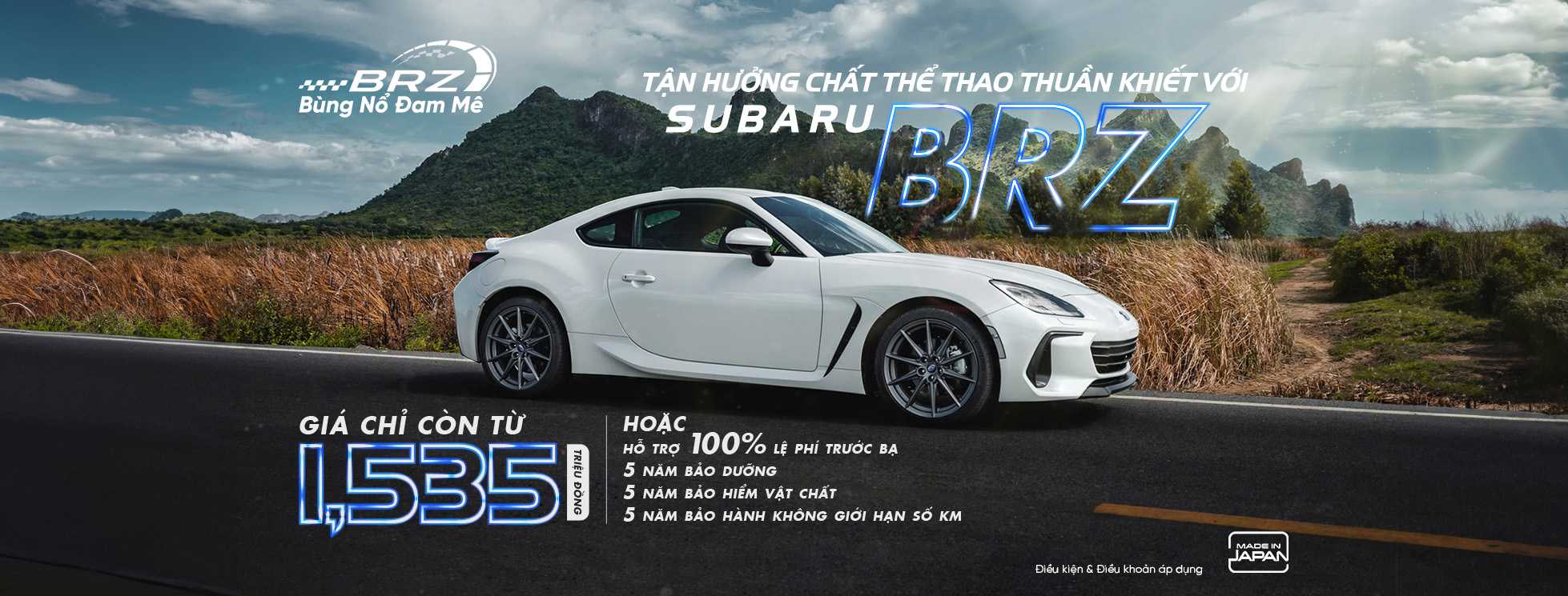 SBD_BRZ_BANNER_WEB